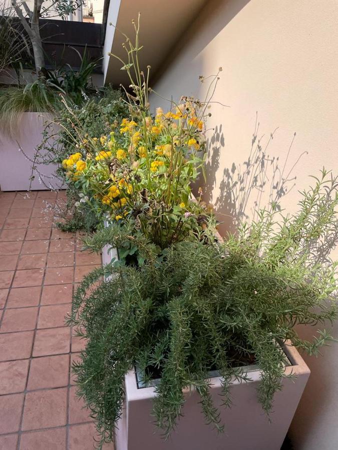 La Terrazza Sull'Arena Leilighet Verona Eksteriør bilde